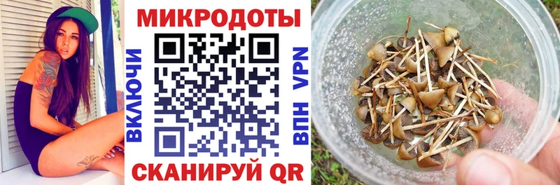 продажа наркотиков  ссылка на мегу ТОР  Галлюциногенные грибы GOLDEN TEACHER  Нахабино 